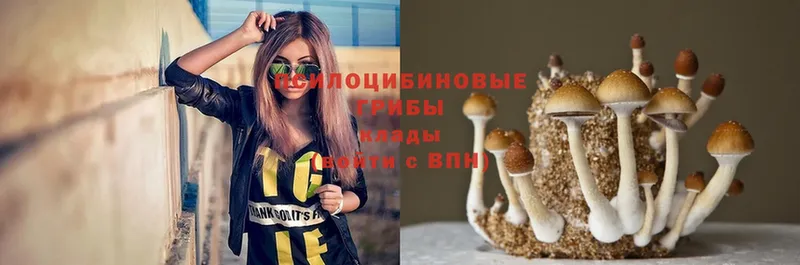 Галлюциногенные грибы Magic Shrooms  мега как войти  Алдан 